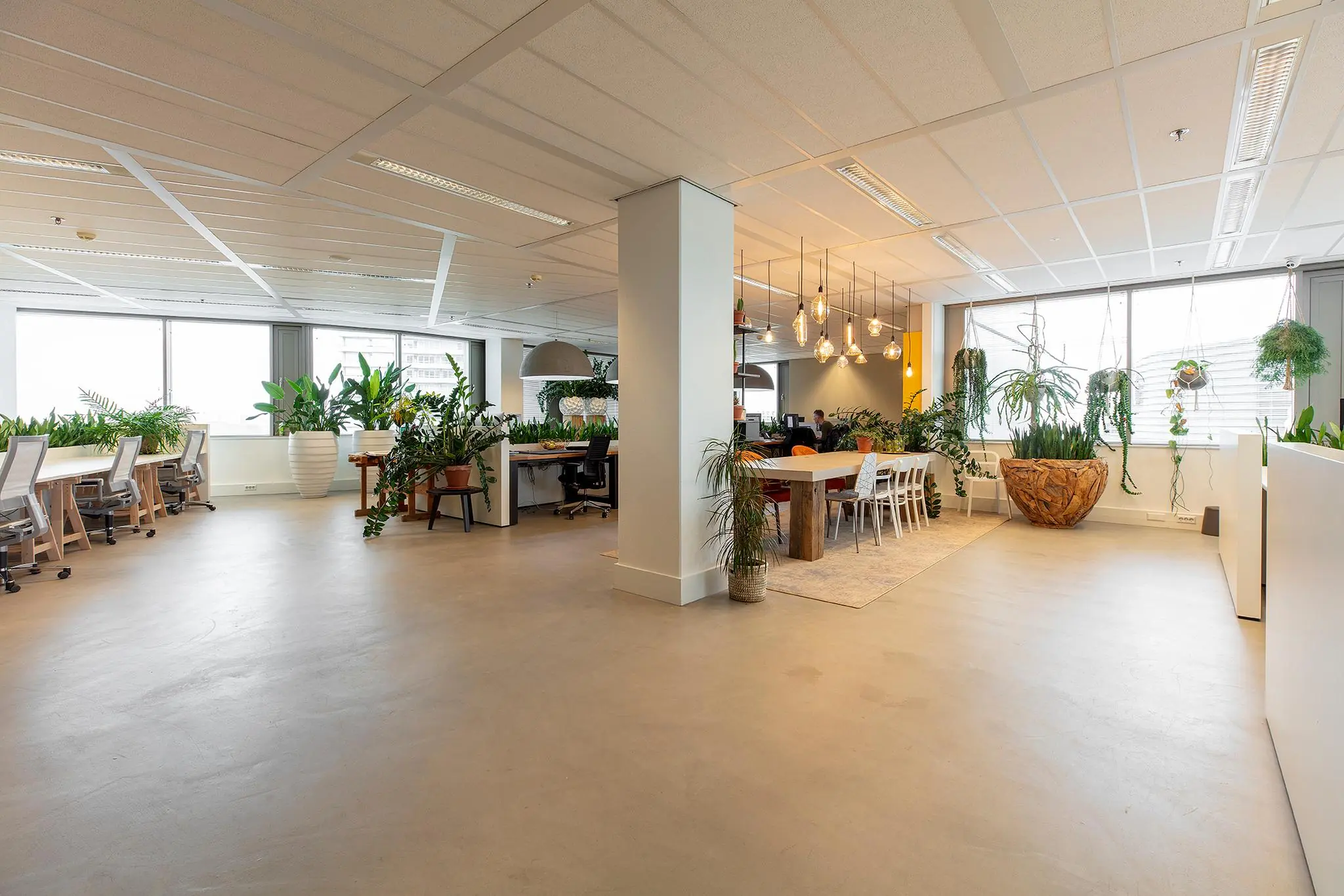 Modern kantoorinterieur aan de Vliegend Hertlaan met veel groen, grote ramen en een combinatie van werk- en vergaderruimtes.